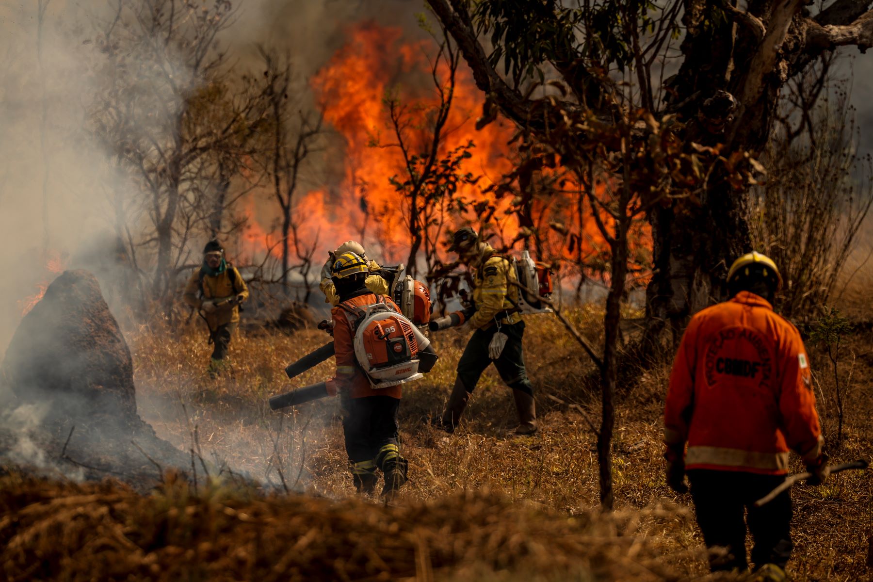 imagem-noticia